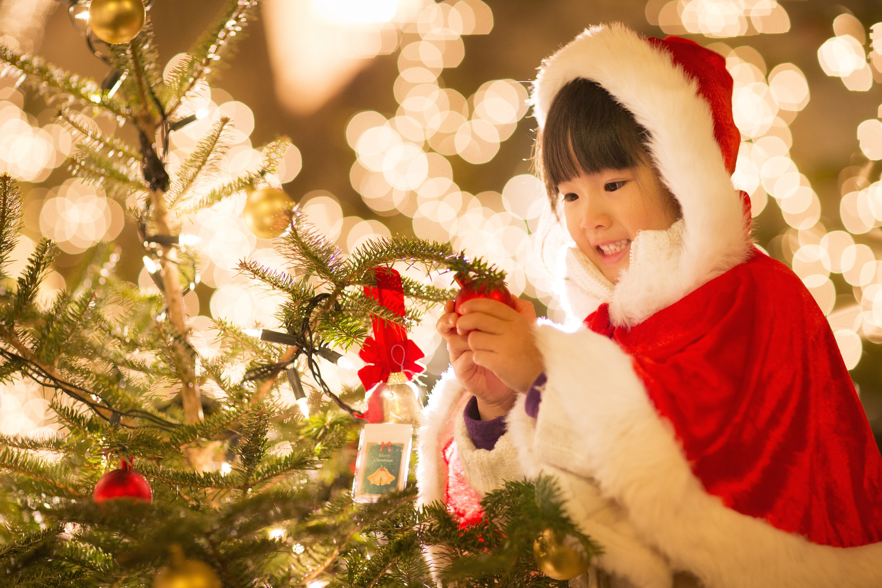 今後の イベント 星野リゾート リゾナーレ八ヶ岳 八ヶ岳クリスマスタウン 開催 ほくとナビ