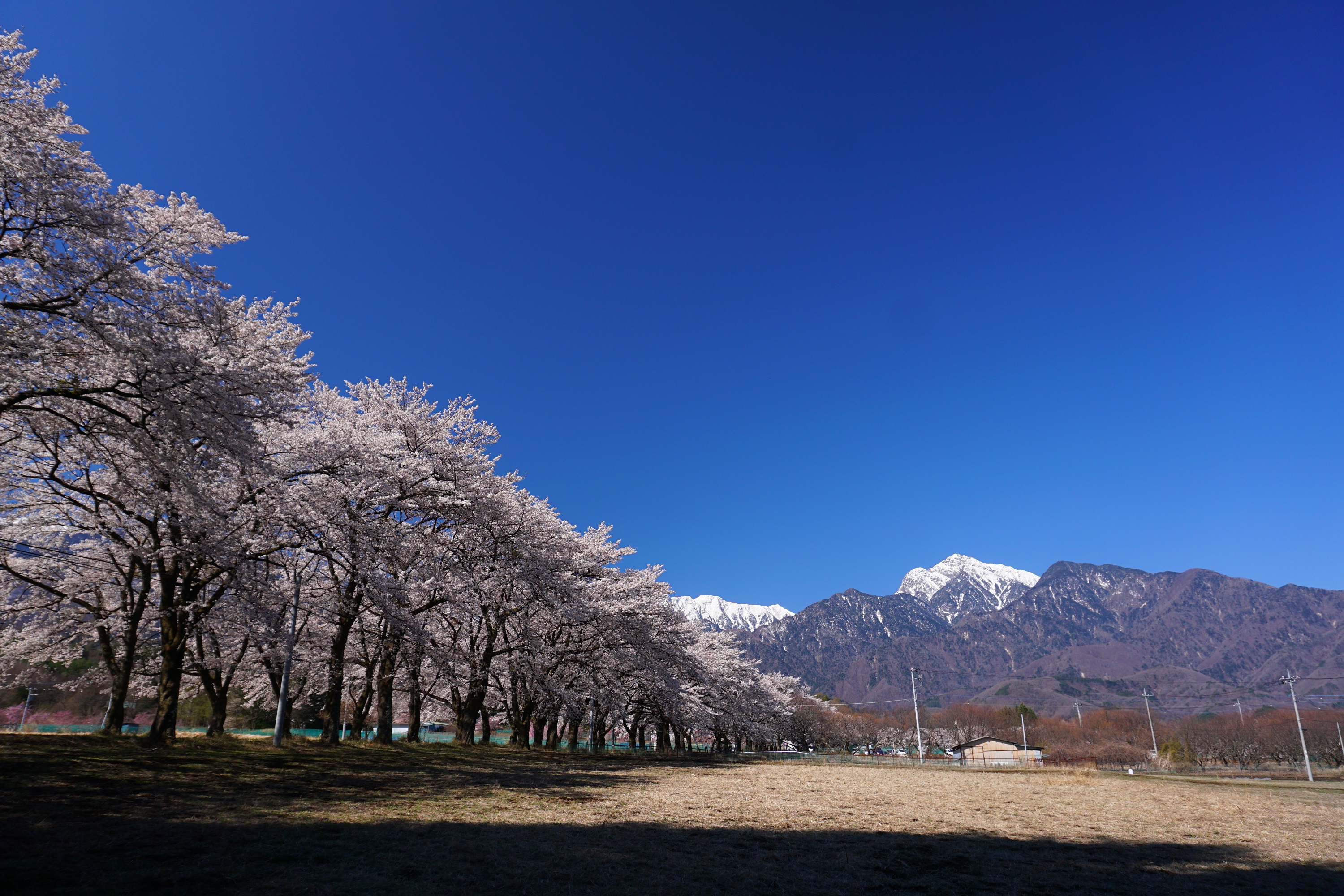 掘り出しオススメ作品! 小池清文 6F 「秋の里山公園」 油彩画 正光画廊-